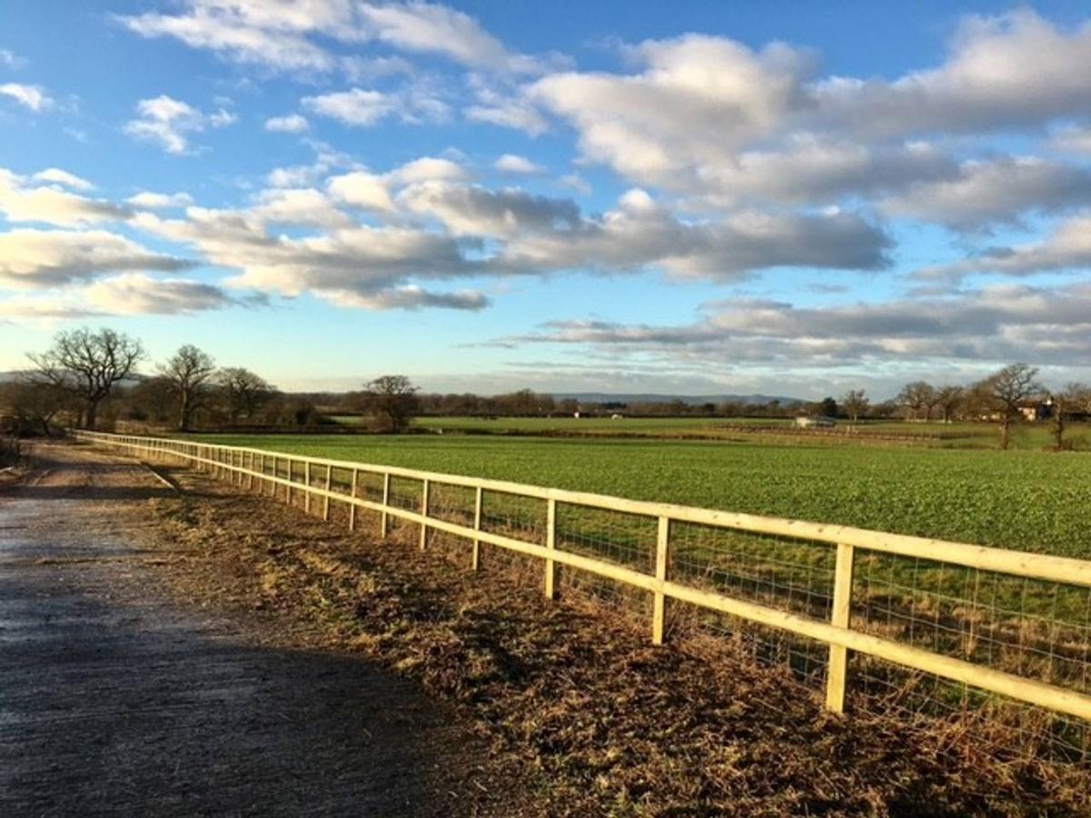 North Cottage - Country Retreat In The Heart Of Sussex -Twineham 외부 사진