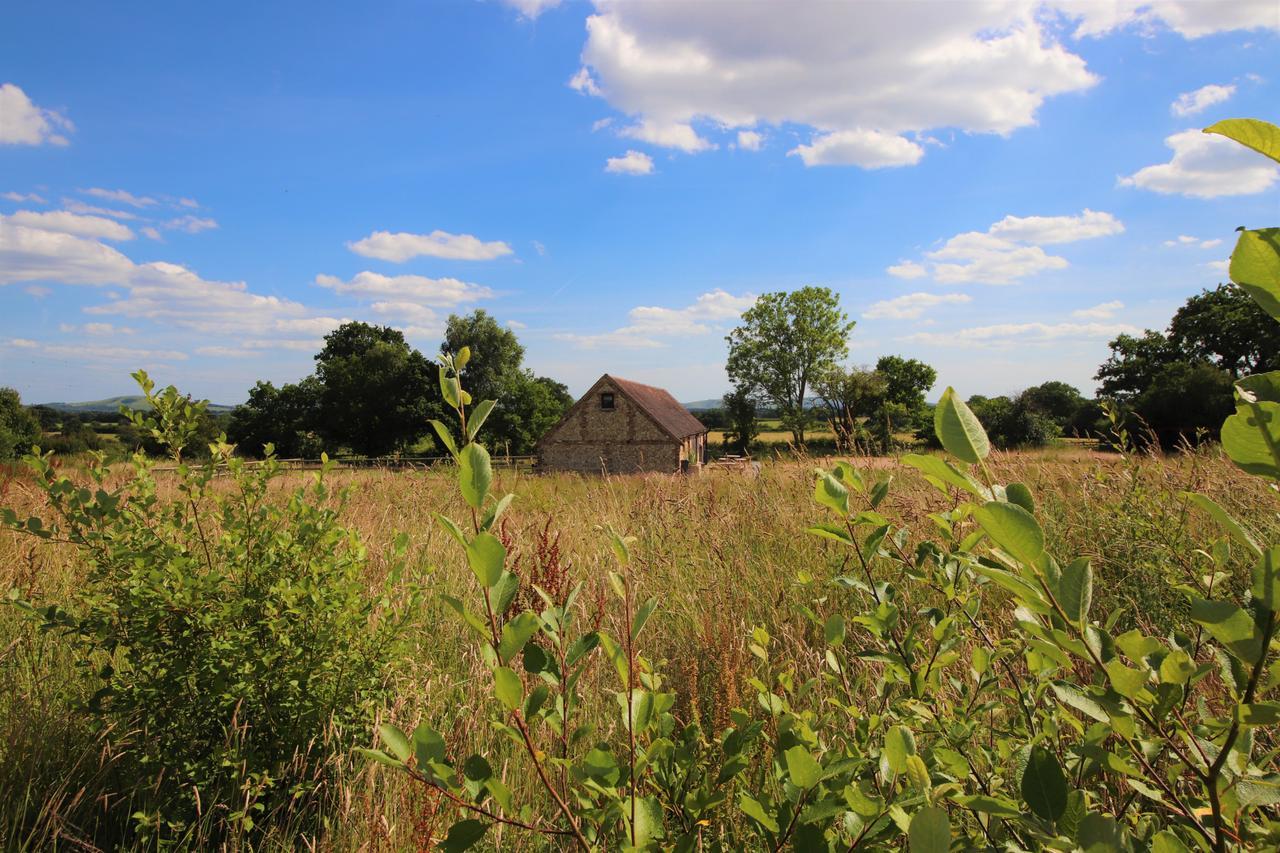 North Cottage - Country Retreat In The Heart Of Sussex -Twineham 외부 사진